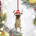 thumbnail image 2 of English Mastiff Christmas Lights Shape Mica Plastic Ornament, Pet Lovers Gift, Christmas Ornament, Christmas Decor, Christmas Gift, Ornament Decoration, Ornament Christmas, 2 of 2