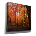 thumbnail image 2 of Epic Graffiti 'Rainbow Fall' by Philippe Sainte-Laudy, Canvas Wall Art, 18"x18", 2 of 8