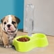 thumbnail image 5 of Comedero doble antideslizante ovalado pequeño para mascotas con diseño elevado para perros y gatos pequeños. Platos elevados fáciles de limpiar para una alimentación sin complicaciones., 5 of 7