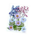thumbnail image 2 of Flores prensadas secas, juego de flores de , hermosa artesanía, fabricación de velas, Material de fabricación DIY para pantallas de , Mezcla violeta, 2 of 8