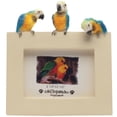 thumbnail image 1 of Macaw Trio Perched Small Picture Frame, 1 of 1