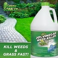 thumbnail image 3 of (2 pack) Green Gobbler Vinegar Based Weed & Grass Killer, 1 gallon, 3 of 10