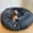 Dark Gray, variant on Calming Dog Bed for Medium Dogs - Donut Washable Medium Pet Bed, 30 inches Anti-Slip Round Fluffy Plush Faux Fur Cat Bed, Fits up to 45 lbs Pets