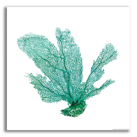 Epic Art 'Green Sea Fan' by JJ Brando, Acrylic Glass Wall Art, 12"x12"