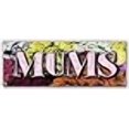 thumbnail image 2 of SignMission B-Mums Bannière Maman - Fleuriste Boutique Plantes Roses Fournitures de Jardin, 2 of 4