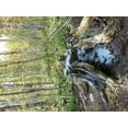thumbnail image 4 of Glory Mineral Attractant 20 lbs By Rack Stacker, 4 of 10