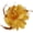Golden Yellow, variant on 4.72 Inches Elegant Hair Clip Large Flower Brooches for Women | Flower Mesh Feathers Headwear Hair Clips for Wedding | Ponytail Holder & Floral Pins for Clothes Have in Fashion Dress Accessories