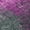 Blush, variant on Addison Rugs Chantille Indoor/Outdoor Transitional Ombre Blush Washable Rectangle Rug, 10' x 14'