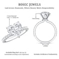 thumbnail image 6 of Rosec Jewels Heart Shaped Lab Grown Diamond Engagement Ring 3 Carat - IGI Certified Diamond Ring with Hidden Halo - E-VS1 Grade, 14K White Gold, US 6.00, 6 of 7
