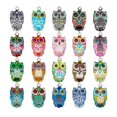thumbnail image 1 of 20 piezas de dijes para hacer joyas, suministros de artesanía, suéter, de moda, brazalete decorativo, dijes de búho para bolsos., 1 of 9