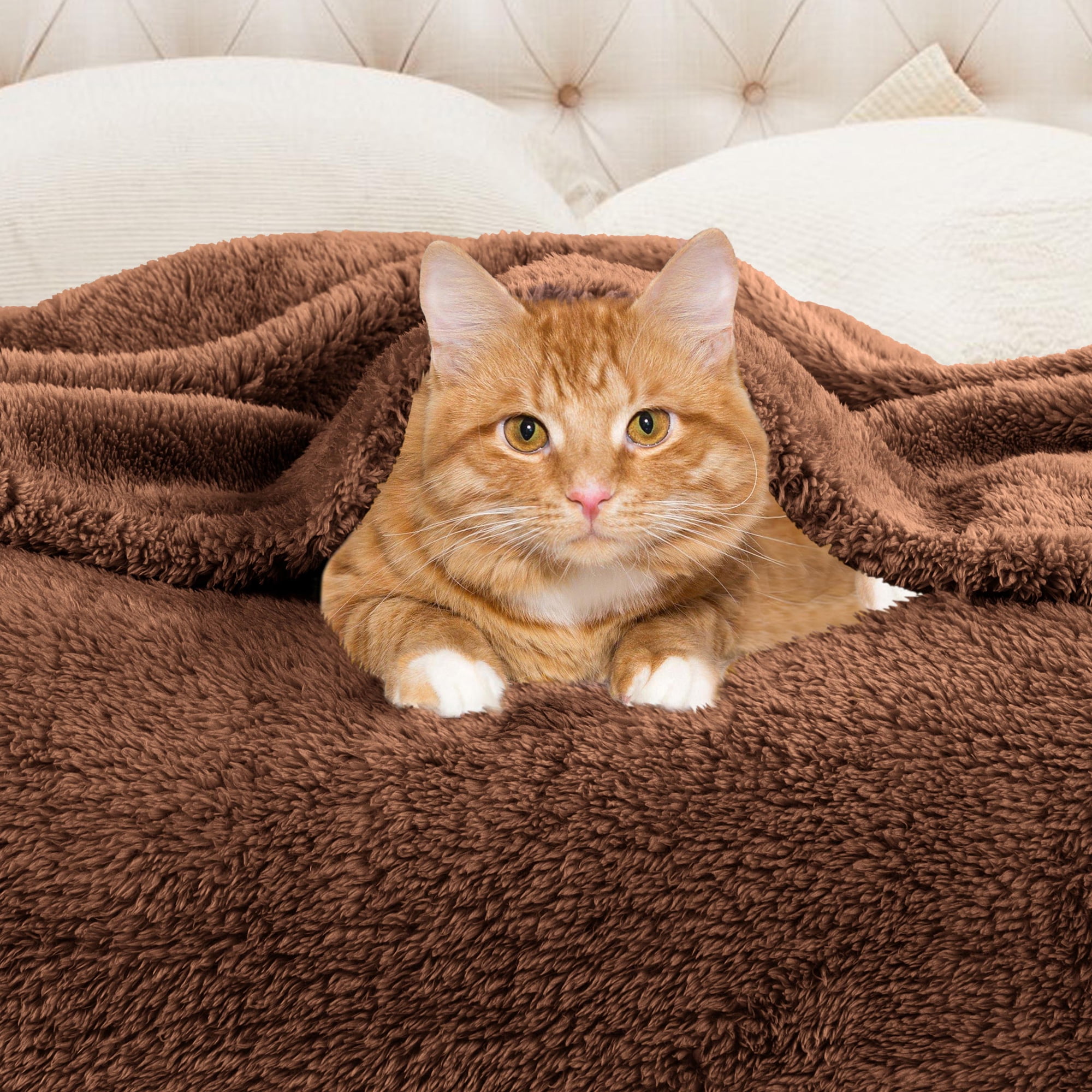Premium 100% Micro-Polyester Fleece Blanket, Ultra-Plush , Soft, Breathable, All-Season, Perfect for Bed or Couch, Blanket Set , Throw, Chocolate by Blue Nile Mills