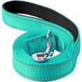 thumbnail image 1 of 6FT Reflective Nylon Dog Leash with Soft Padded Handle for Walking, Running and Training, Supports Small Medium and Large Dogs (Turquoise, 3/4Inch Wide), 1 of 6