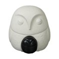 thumbnail image 2 of 2 piezas de escultura de búho, estatua de búho de cerámica, adorno de escritorio nórdico, figura de búho para decoración de gabinete de oficina, 15 cm x 152 cm, 2 of 8