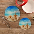 thumbnail image 2 of SKYSONIC 2 Pack Beach Sea Shell Starfish Trivet Mat Summer Seashell Pot Holders Set Hot Pads Potholder Cotton for Kitchen Weave Pot Mat Cooking Baking Decor Home, 2 of 7