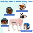 thumbnail image 7 of Dog Anxiety Relief Coat,Comfort Anxiety Vest for Dogs,Adjustable Dog Anxiety Calming Wrap for Fireworks,Thunderstorm,Travel,Separation,Anxiety Jacket for Small Dogs, 7 of 7