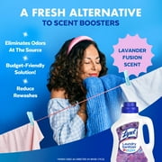(2 pack) Lysol® Laundry Sanitizer Additive, Eliminates Odor Causing Bacteria, Lavender Fusion, 90 fl oz