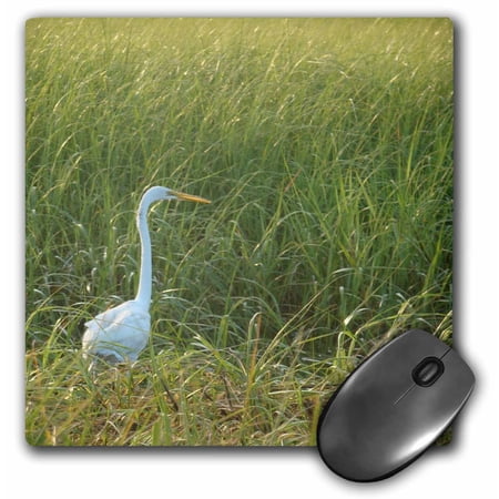 3dRose  Egret  MousePad price history on PriceWatchPro