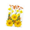 thumbnail image 3 of Flores prensadas secas Strade Fareast Limited Material de fabricación DIY Amarillo, 3 of 8