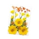 thumbnail image 3 of Flores prensadas secas, manualidades DIY para álbumes de recortes, Kits de hojas secas para decoración de uñas, manualidades, marcapáginas, pantallas Amarillo Macarena flores secas prensadas, 3 of 8