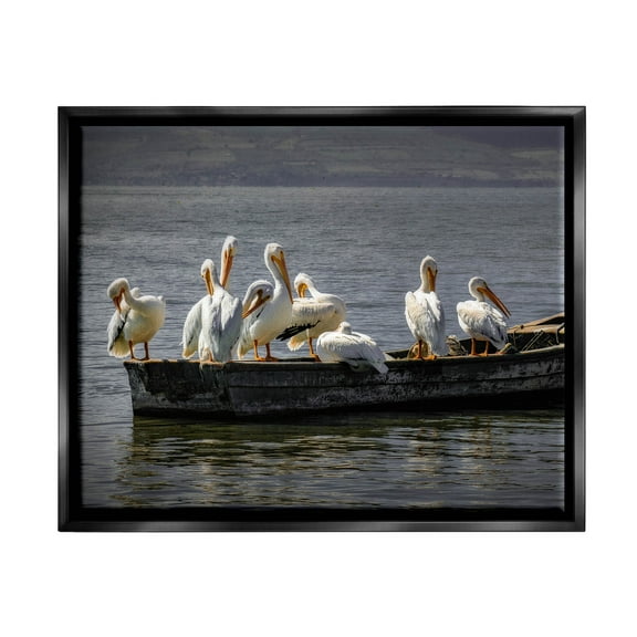 Stupell Industries Pelican Flock On Floating Lake Boat Photograph Jet Black Floating Framed Canvas Print Wall Art, Design by David Lorenz