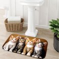 thumbnail image 6 of Four Cute Kittens Flannel Bath Mat 16x24 Inches, Soft Absorbent Non-Slip Bathroom Rug, Machine Washable Floor Mat for Shower, 6 of 7