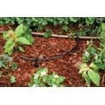 thumbnail image 3 of Tubo de riego por goteo Rain Bird T22-250S, rollo de 76 m, negro, 3 of 4