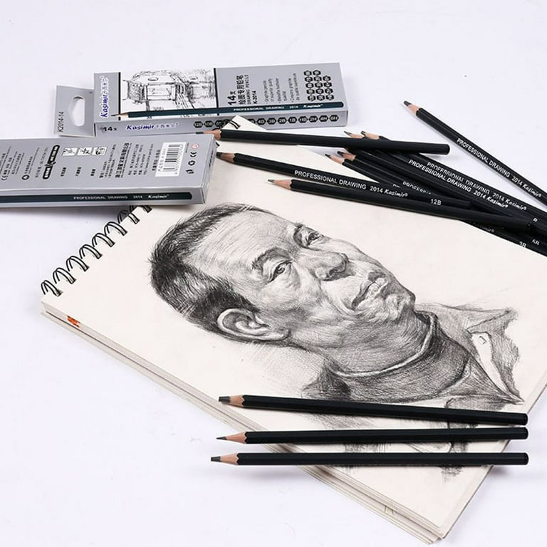 PANDAFLY Professional Drawing Sketching Pencil Set - 12 Pieces Art Drawing Graphite Pencils(14B - 2H) Ideal for Drawing Art Sketching Shading Artist P