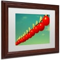 thumbnail image 2 of Trademark Fine Art "Sundried Tomatoes" Canvas Art by Beata Czyzowska Young, White Matte, Wood Frame, 2 of 4