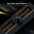 thumbnail image 3 of Fosi Audio LC30 VU Meter Amplifier Speaker Selector Switch Box Audio Visualizer 2 In 2 Out Vintage Switcher with Remote Control-Black, 3 of 7