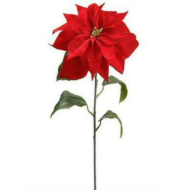 1pk Velvet Poinsettia Christmas Flower In Red 7 Bloom Walmart Com Walmart Com