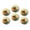C0601, variant on Glass Refrigerator Magnet 6Pcs Magnetic Fridge Sticker,Decor for Kitchen,Whiteboard,Cabinet,Open Honey Bee