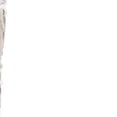 thumbnail image 4 of Something Different White Sage Smudge Stick Wand, 4 of 4