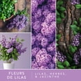 thumbnail image 5 of ScentSationals Scented Wax Cubes - Lilac Blossoms, 5 of 5