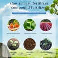 thumbnail image 2 of Potted Succulent Organic Fertilizer All-purpose Fertilizer Ease Plant Food for Succulent Plants Flowers  2pcs, 2 of 6