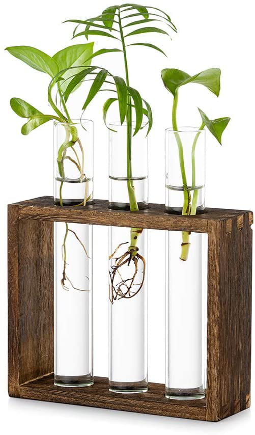Mini Test Tube Flower Vase Stained Glass Propagation Vase Modern Glass Planter for Hydroponic Plant Clipping 4 Terrarium with Glass Stand