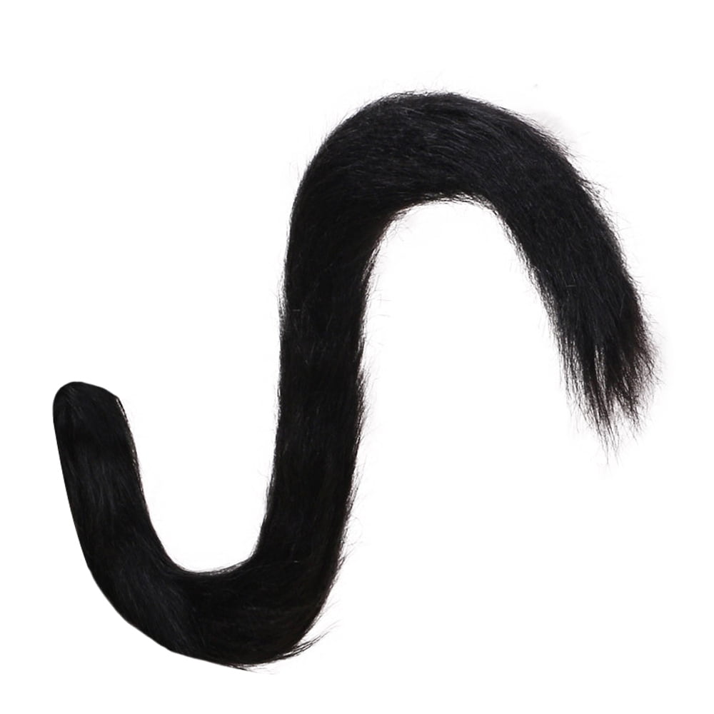 450043 cat girl cat ears anime pants cat tail  Rare Gallery HD  Wallpapers