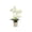 White, variant on Hyknon Artificial Phalaenopsis Orchid Plants in Pot, Realistic Fake Orchid Flower Arrangement with Leaves, Long-Lasting Faux Orchid Bonsai, Indoor Home Office Decor for Living Room Bedroom, White