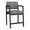 Castillo Metal, variant on Lesro Lenox Steel Polyurethane Hip Waiting Room Guest Chair in Black/Castillo Metal Gray