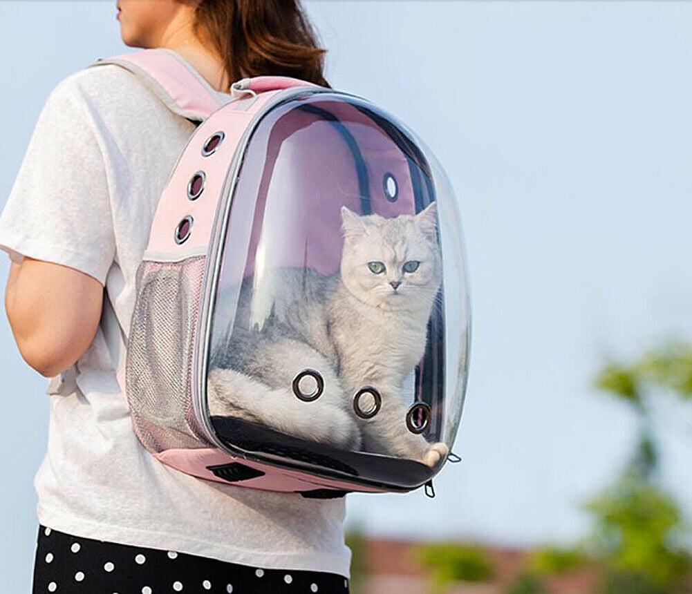Cat Handbags Plush Women | Womens Handbag Cat Large | Cat Bag Black Women -  Handmade - Aliexpress