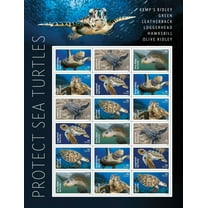 Protect Sea Turtles Forever Postage Stamp 1 Book of 18 USPS First Class Green Nature Sea Ocean Animal Wedding Celebration Announcement (18 Stamps)