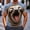 A23 Navy, variant on Men's Funny Sloth Animal Print Graphic T-Shirts 3D Novelty Short Sleeve Crewneck Casual Summer Everyday Essential Tees Comfortable Breathable Tops