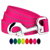 Country Brook Petz - 1 Inch Reflective Nylon Dog Leash
