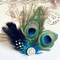 thumbnail image 2 of tredstone Plume Femmes Clip de Remplacement de Cheveux Filles Fascinator Ornement, 2 of 6