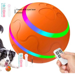 Pet Supplies : PetSafe Kibble Chase - Electronic & Interactive Dog