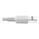 Eaton Tripp Lite Series USB-Lightning A to Sync/Charge Cable (M/M) - MFi Certified, white, 3 ft. (0.9 M) - câble de données / d'alimentation - USB mâle vers Lightning mâle - 3.3 ft - Blanc – image 4 sur 6