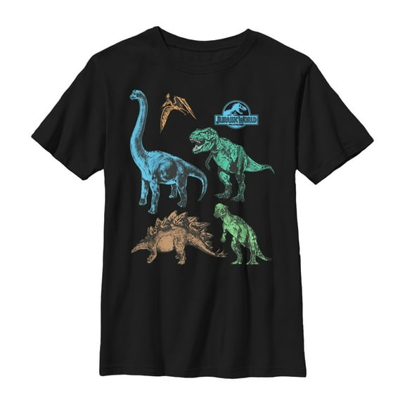 Boy's Jurassic World Dinosaur Party  Graphic Tee Black Small