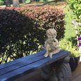 thumbnail image 4 of Statue en Résine Décoration de Cour Accessoires Ménagers Autocollant Maison Taille Compacte Décoration de Jardin Exquise Ornement Extérieur Forme de Garçon, 4 of 6
