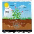 thumbnail image 3 of Ambesonne Science Shower Curtain, Plant Diagram Style, 69"Wx70"L, Multicolor, 3 of 3