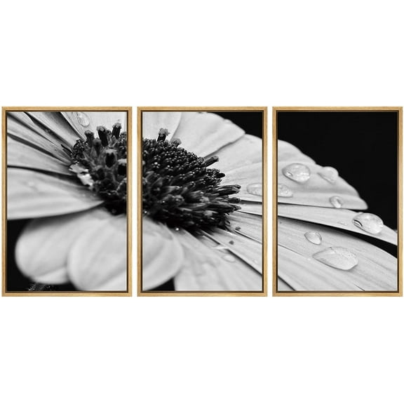wall26 Framed Canvas Print Wall Art Set Black & White Daisy with Dew Droplets Floral Botanical Realism Rustic Dramatic Grayscale Dark for Living Room, Bedroom, Office - 16"x24"x3 Natura
