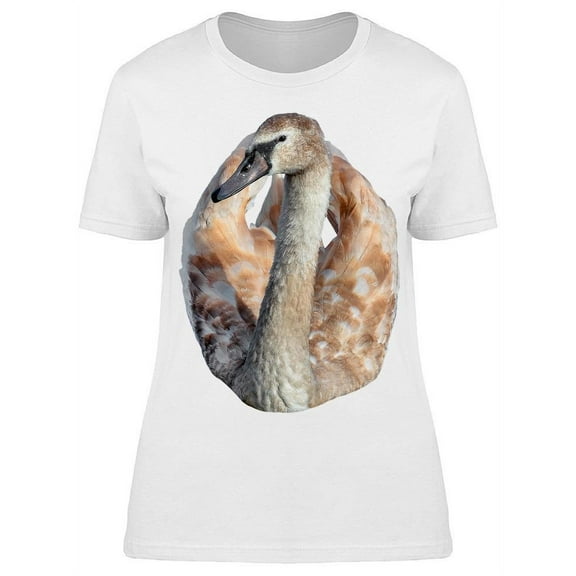 Swan Bird Close-up T-Shirt Women -Image by Shutterstock, Female 3X-Large